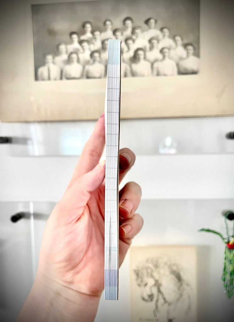 1000lb. Sisters Notepad | IPMBMBAP I Pay My Bills My Bills Are Paid | FUNNY Reality TV Gifts & Merch for 1000 Pound Sisters Fans